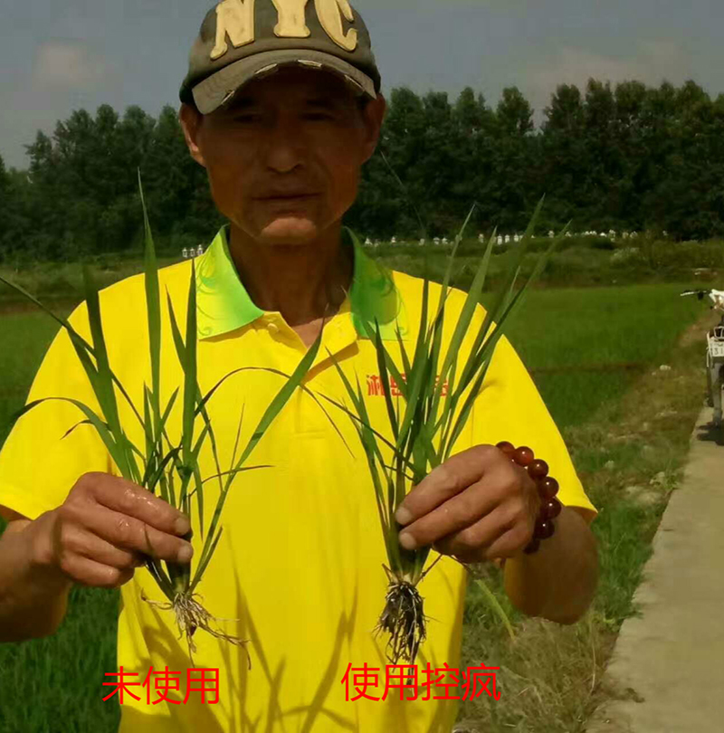 公安縣控瘋使用效果交流（liú）會(圖4)