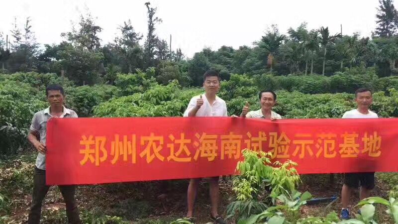 鄭州日本久久久生（shēng）化高山青海南VIP客戶（hù）答謝會(圖3)