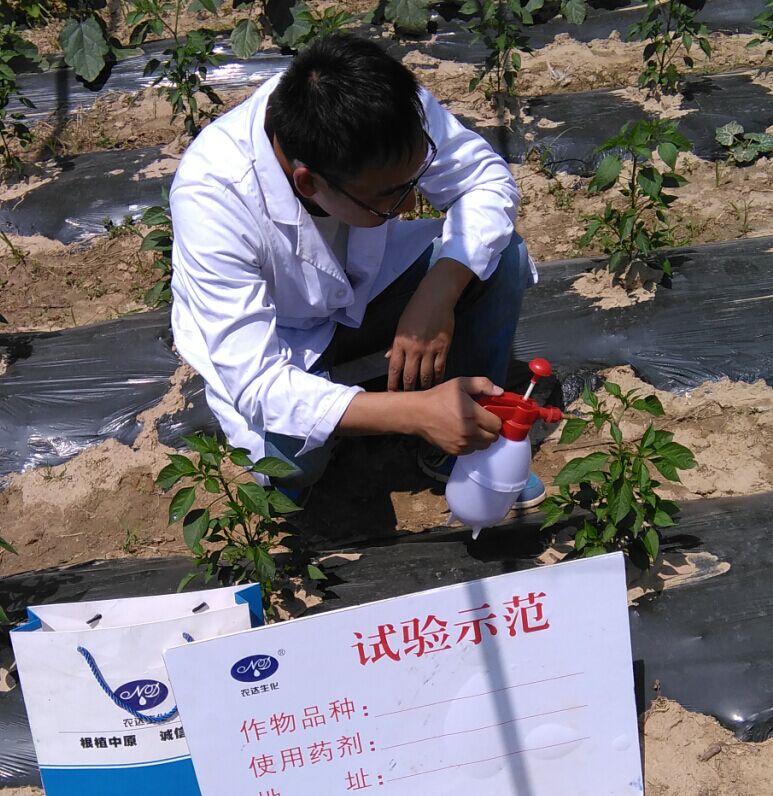 4%赤黴酸乳油（yóu）在辣椒上的藥（yào）效試驗(圖1)
