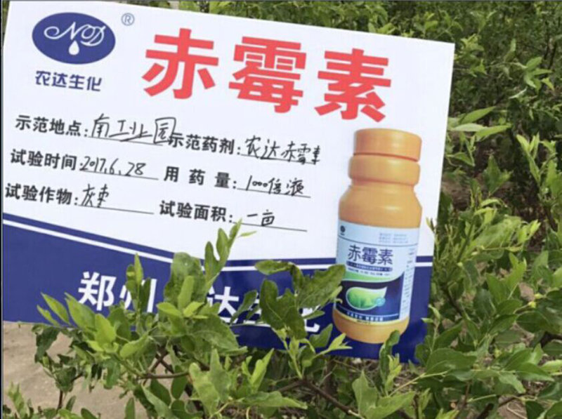 日本久久久赤黴素在灰棗上的（de）坐果試（shì）驗(圖（tú）2)