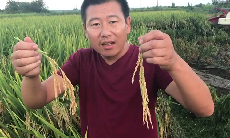 農（nóng）達黃金（jīn）搭檔“控瘋+優奶特（tè）”啟動（dòng）會順利召開(圖5)