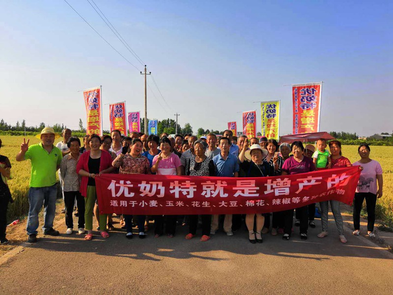 優（yōu）奶特現場測產觀摩會(圖4)