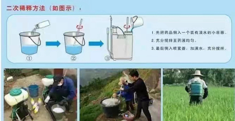 怎樣提高農藥利（lì）用率？(圖1)