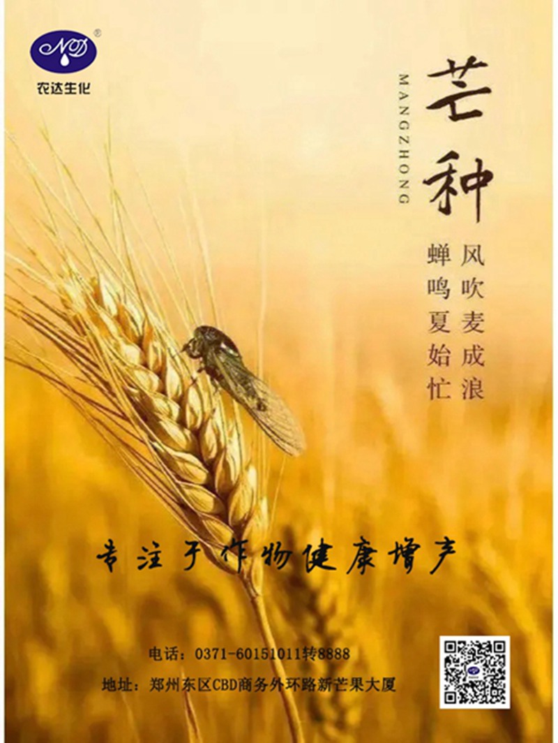 芒(máng)種與農事(圖1) 芒種與農事(圖(tú)1)
