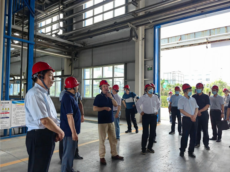 農業農村部農藥檢定所領導蒞臨公司孟州（zhōu）廠調研(圖（tú）2)