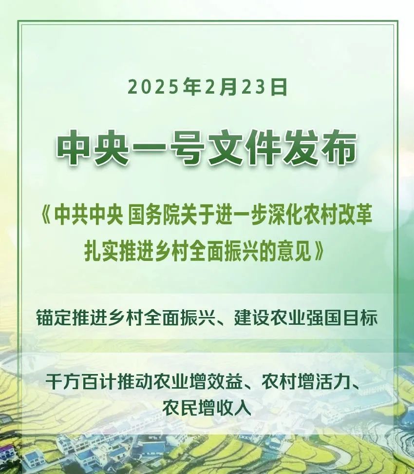 2025年中央一號文件(全文)(圖1) 2025年中央一(yī)號文件(全文)(圖1)