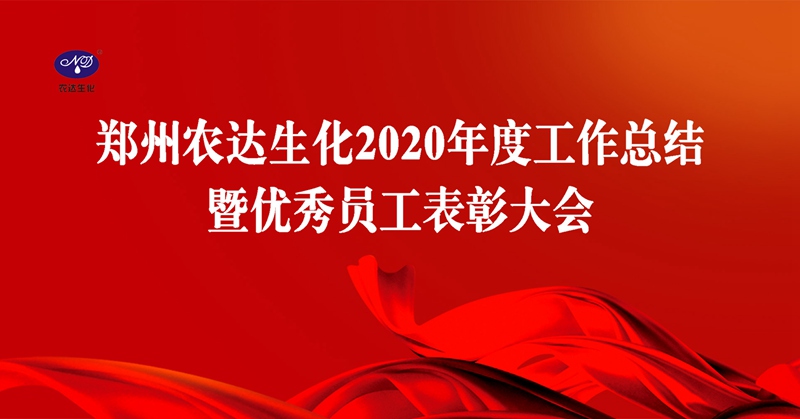 新征程（chéng），再（zài）出發丨我公司召開2020年度（dù）年終（zhōng）總結會議(圖1)