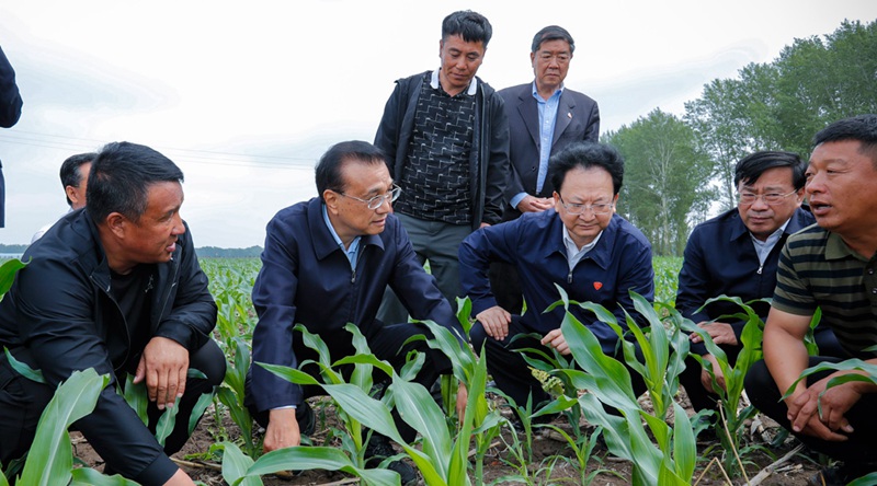 重磅！農資上漲不要怕（pà），補貼來了！(圖1)