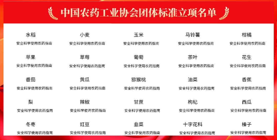 《馬鈴薯安（ān）全科（kē）學（xué）使用農藥指南》團體（tǐ）標準討論會在京（jīng）召開(圖2)